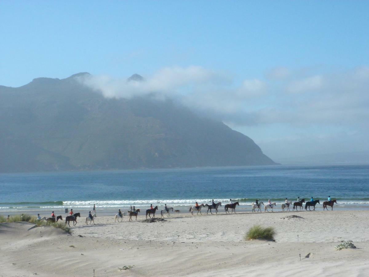 Chapmans Peak Beach Hotel Hout Bay Exteriör bild